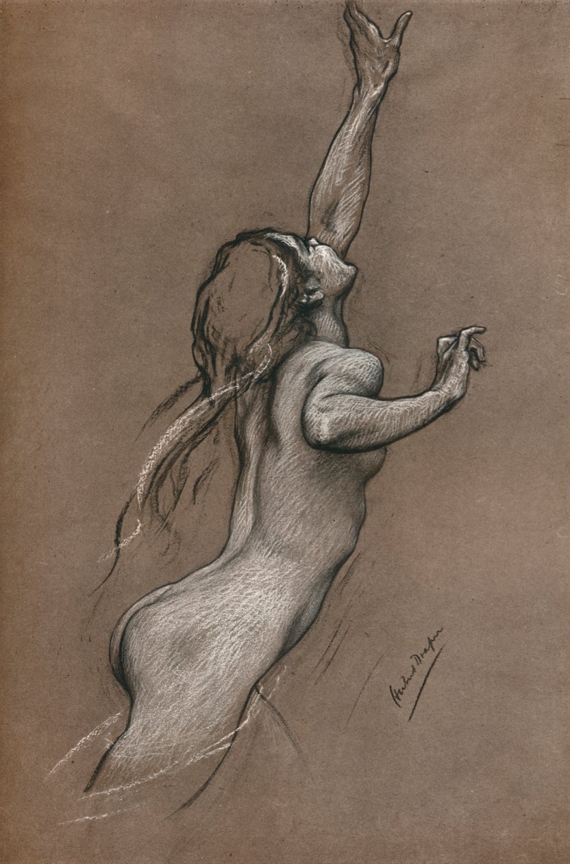 飞鱼研究，c1910 作者 赫伯特·詹姆斯·德雷珀