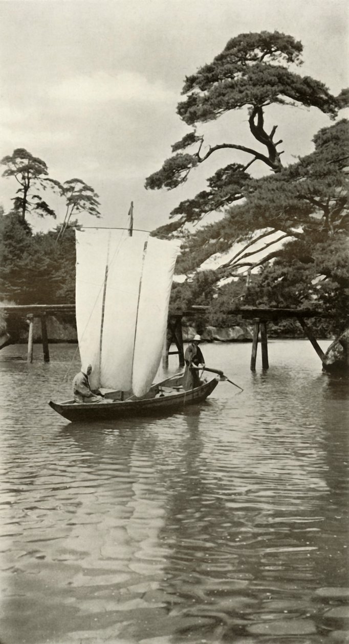 1910年在松岛。 作者 赫伯特·庞廷