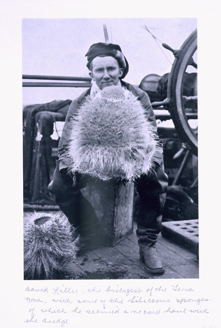 David Terille，“Terra Nova”的生物学家，带有一些Seliceous Sponges。来自&39;斯科特的最后远征&39; 作者 赫伯特·庞廷