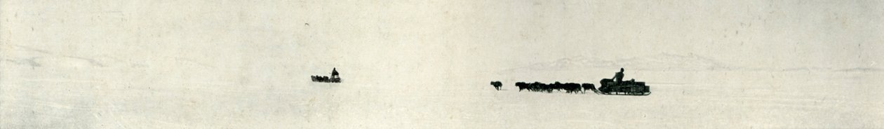 奔向屏障的狗，1913年，1913年 作者 赫伯特·庞廷