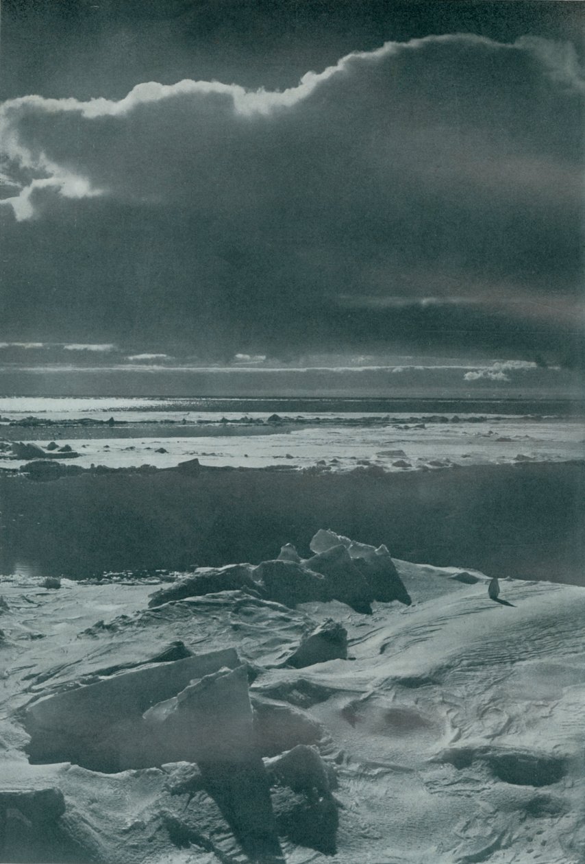 包装中的夜景，c19101913，1913 作者 赫伯特·庞廷