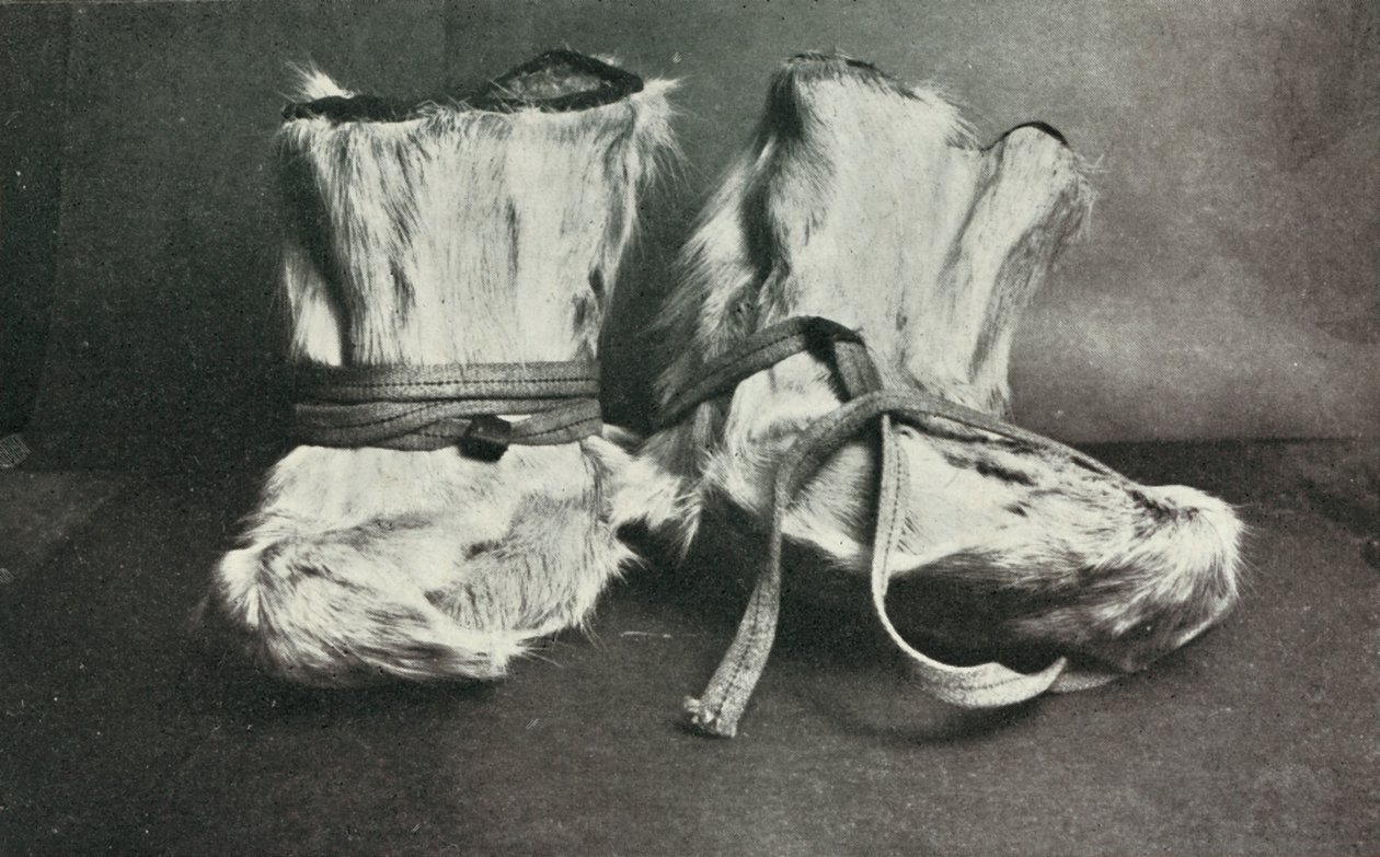 Finnesko，c19101913，1913。 作者 赫伯特·庞廷