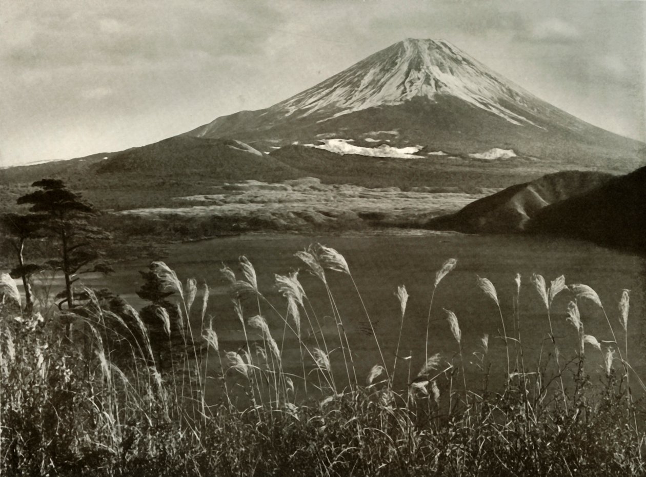 富士和凯亚草，1910年。 作者 赫伯特·庞廷