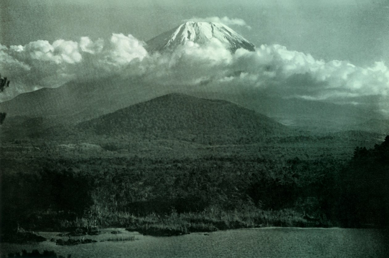 富士在日出，1910年。 作者 赫伯特·庞廷