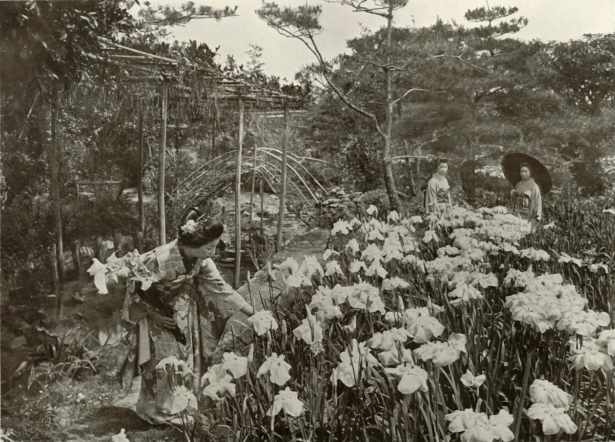 1910年，在虹膜花园中。 作者 赫伯特·庞廷