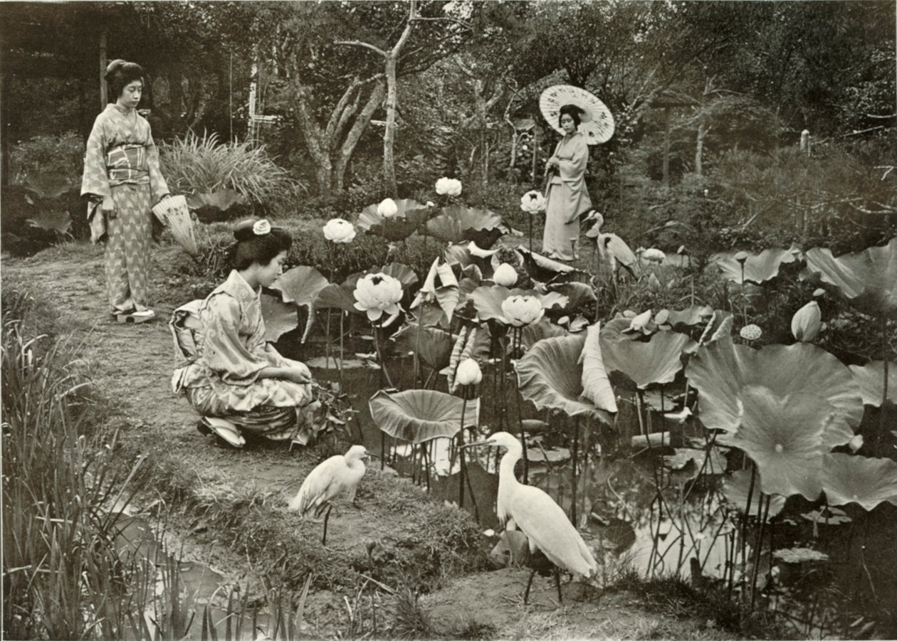 1910年在《莲花土地》中。 作者 赫伯特·庞廷