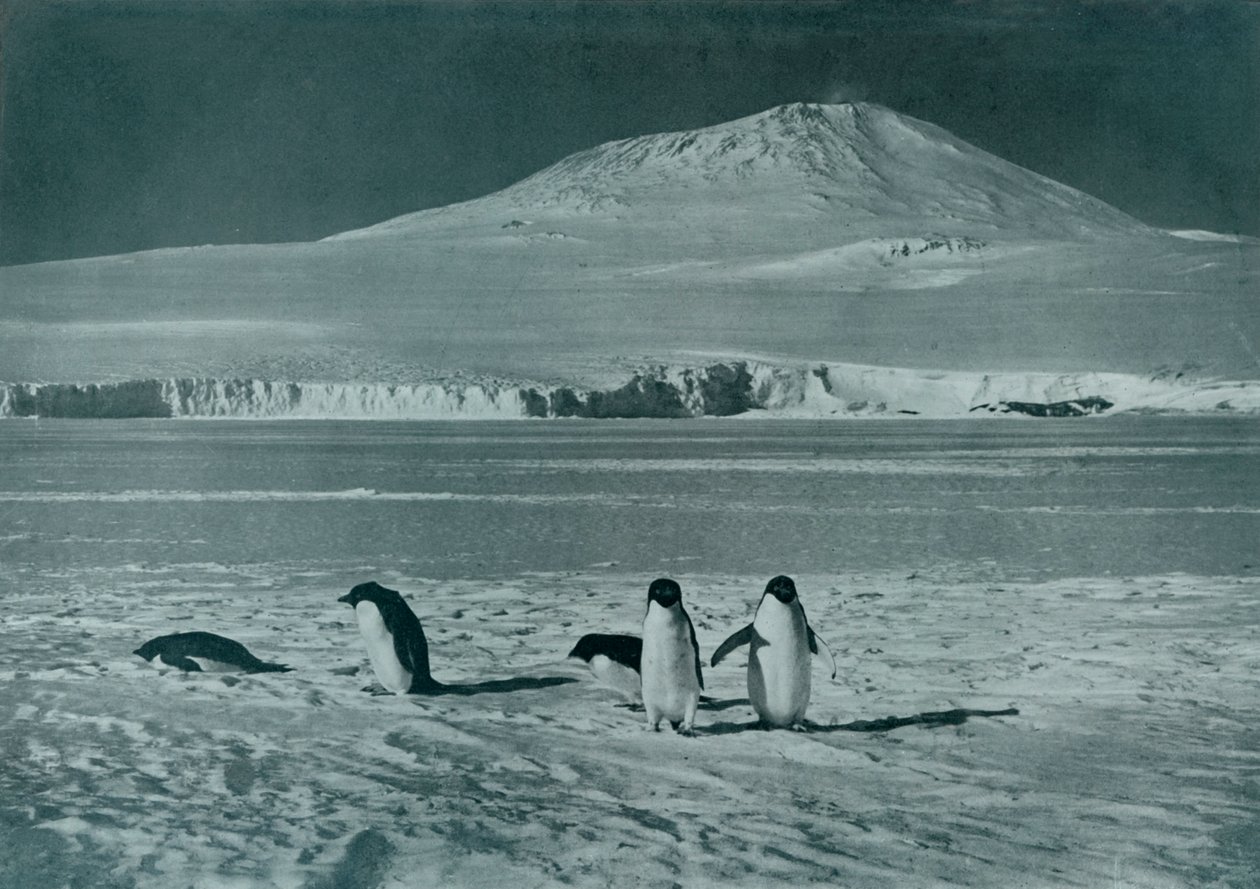 埃雷布斯山（Mount Erebus），c1911，1913年 作者 赫伯特·庞廷