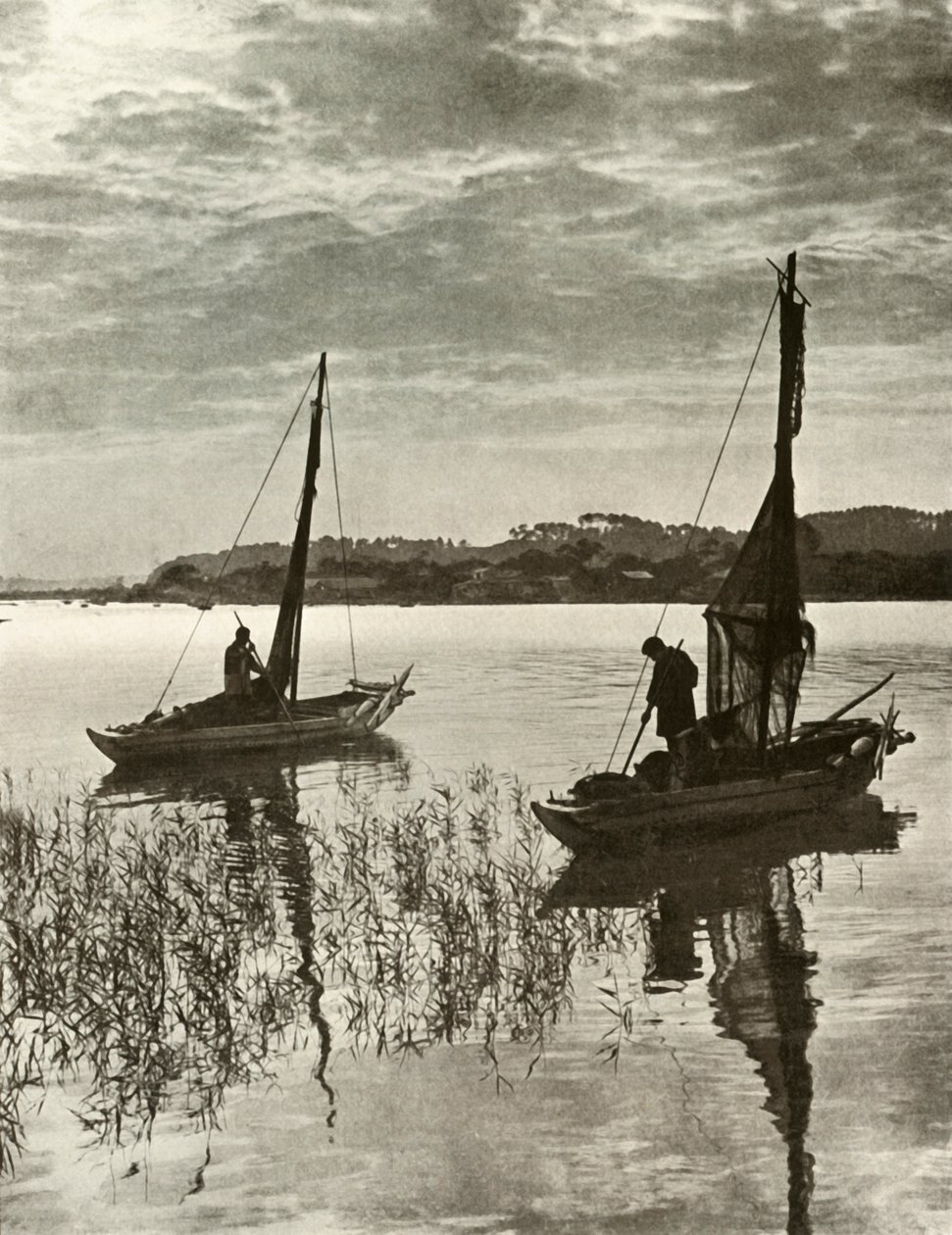 1910年在东京湾上。 作者 赫伯特·庞廷