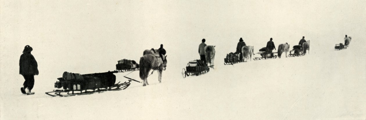 1911年3月，1913年的小马 作者 赫伯特·庞廷