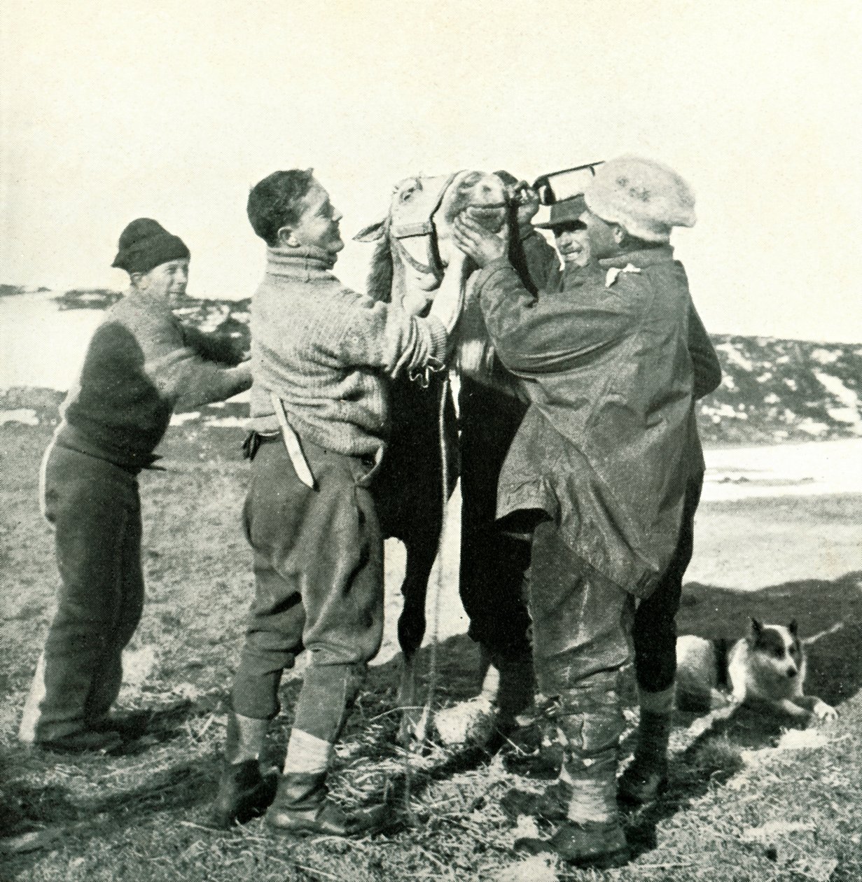 小马拿威士忌，1911年2月8日，1913年 作者 赫伯特·庞廷