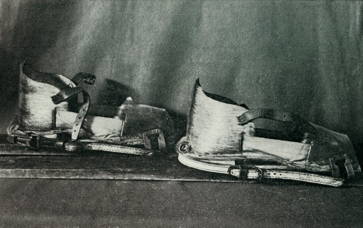 Finnesko专用的滑雪鞋，c19101913，1913 作者 赫伯特·庞廷