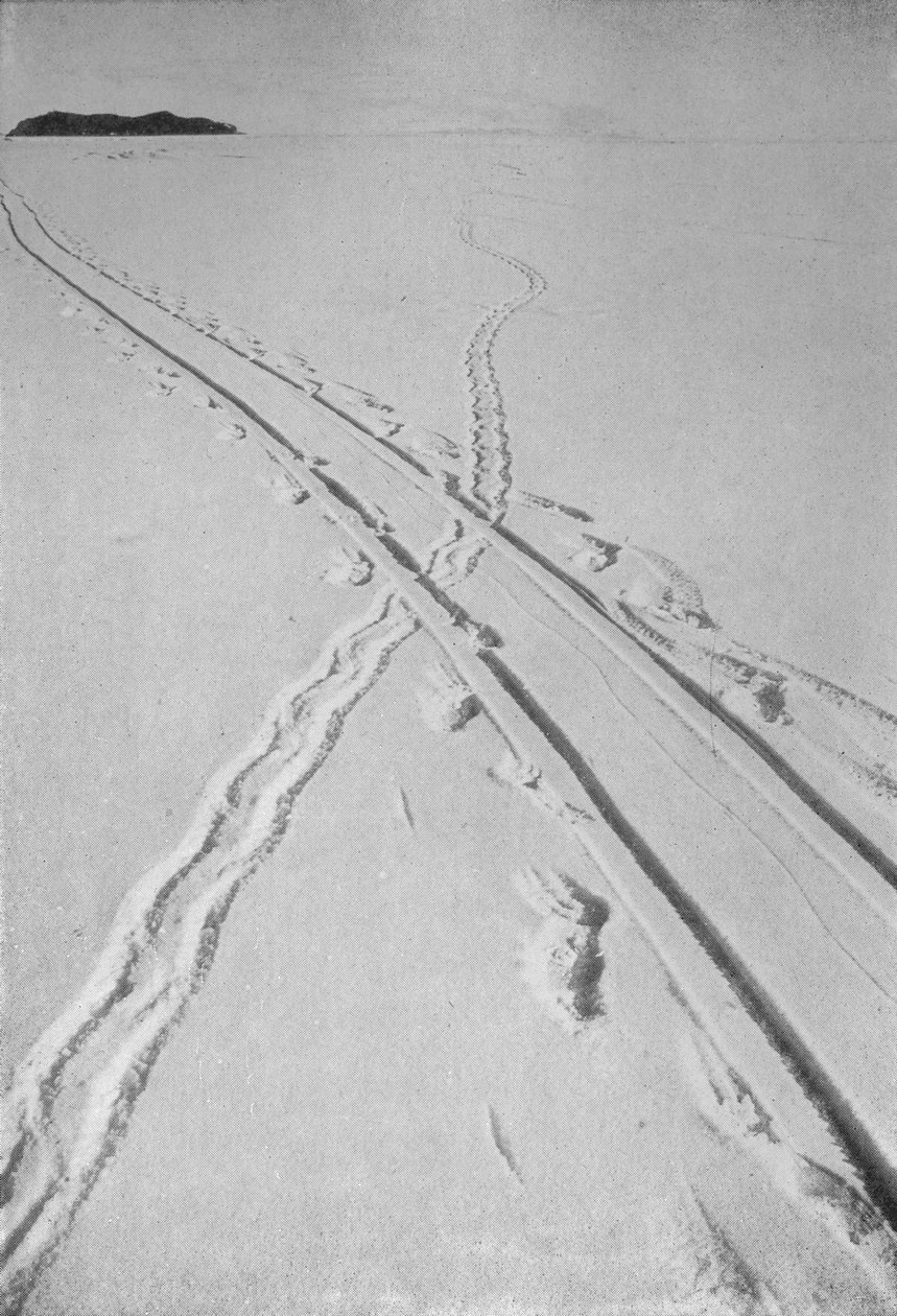 雪橇滑道穿越Adélie企鹅滑道，1911年12月8日，1913年 作者 赫伯特·庞廷