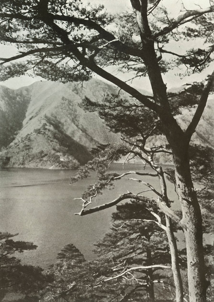 横跨湖的酒店，庄二，1910年。 作者 赫伯特·庞廷