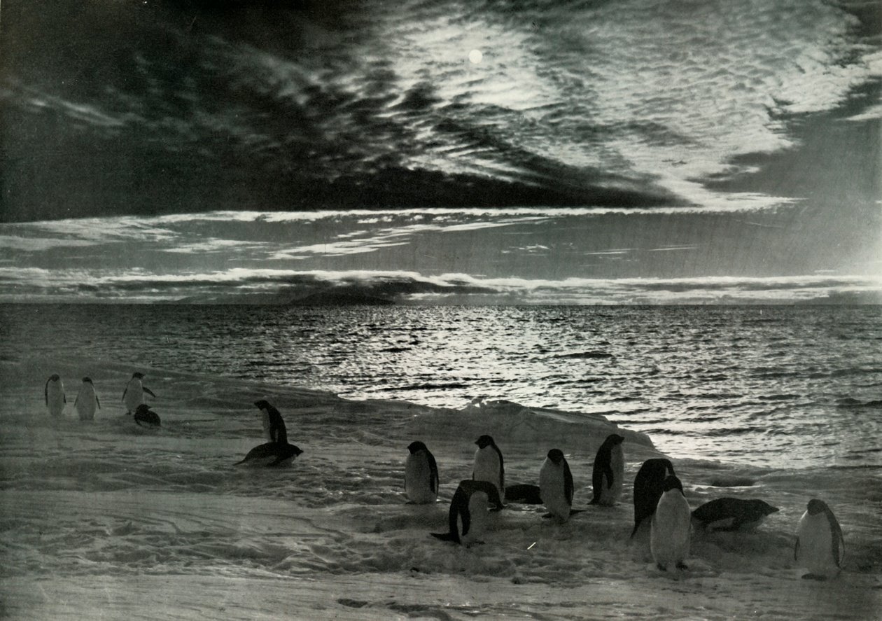 1913年，麦克默多峡湾的午夜太阳，c19101913， 作者 赫伯特·庞廷