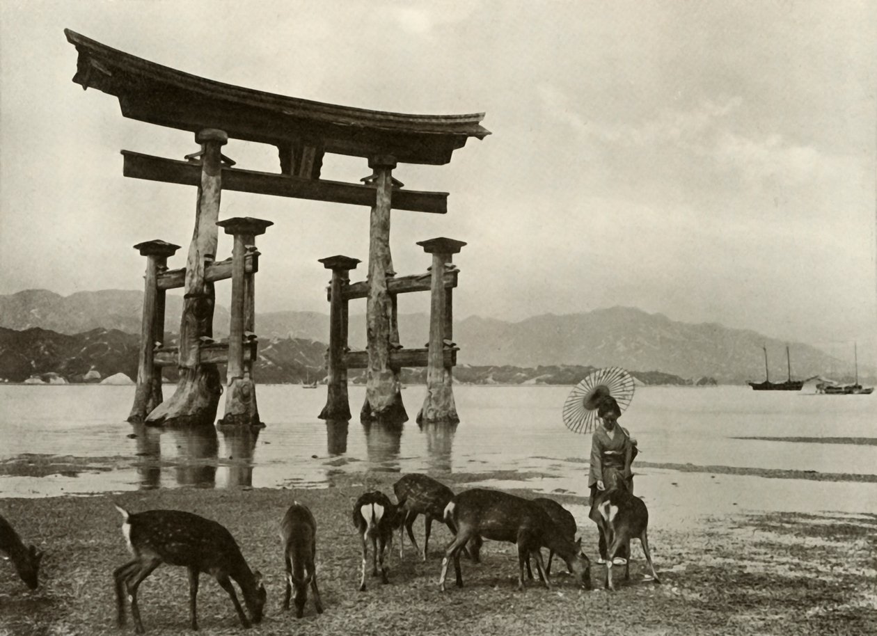 1910年在宫岛的旧鸟居。 作者 赫伯特·庞廷