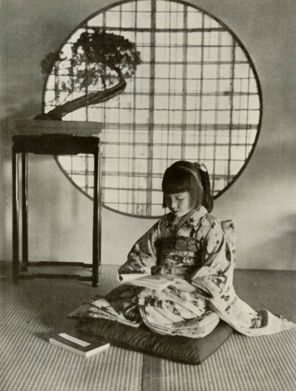 图画书，1910年。 作者 赫伯特·庞廷