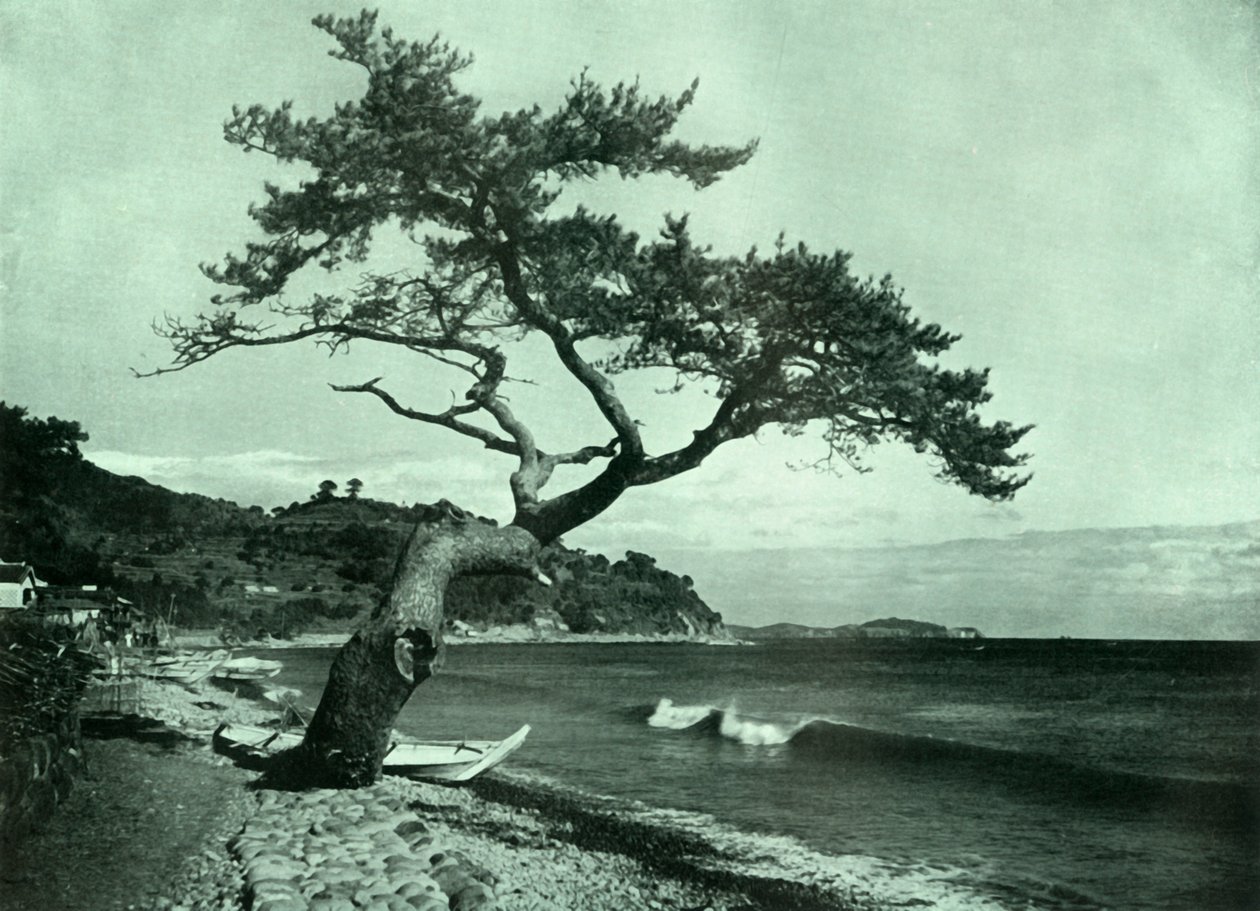 《树与波浪》，1910年。 作者 赫伯特·庞廷