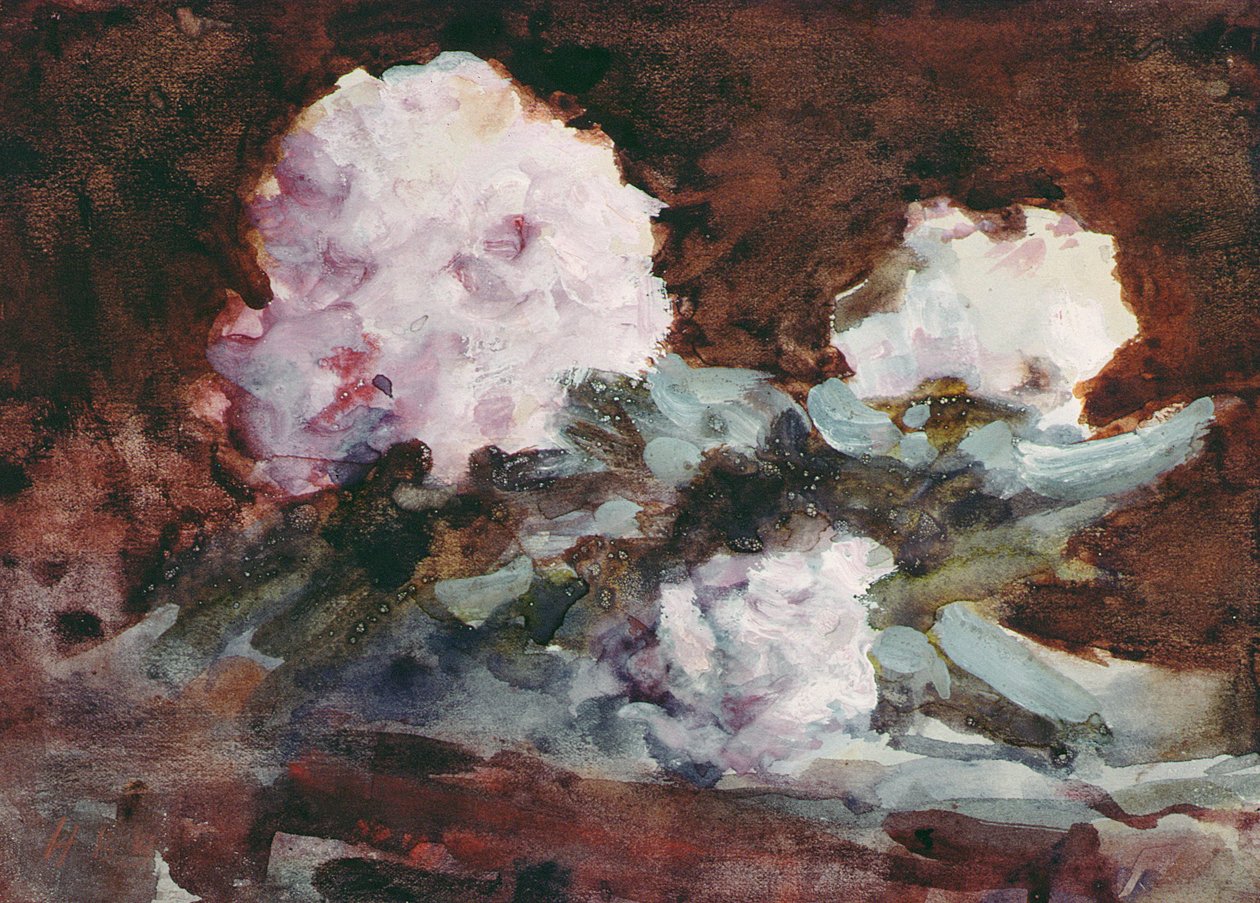 杜鹃花（水彩画） 作者 大力神布拉巴松布拉巴松