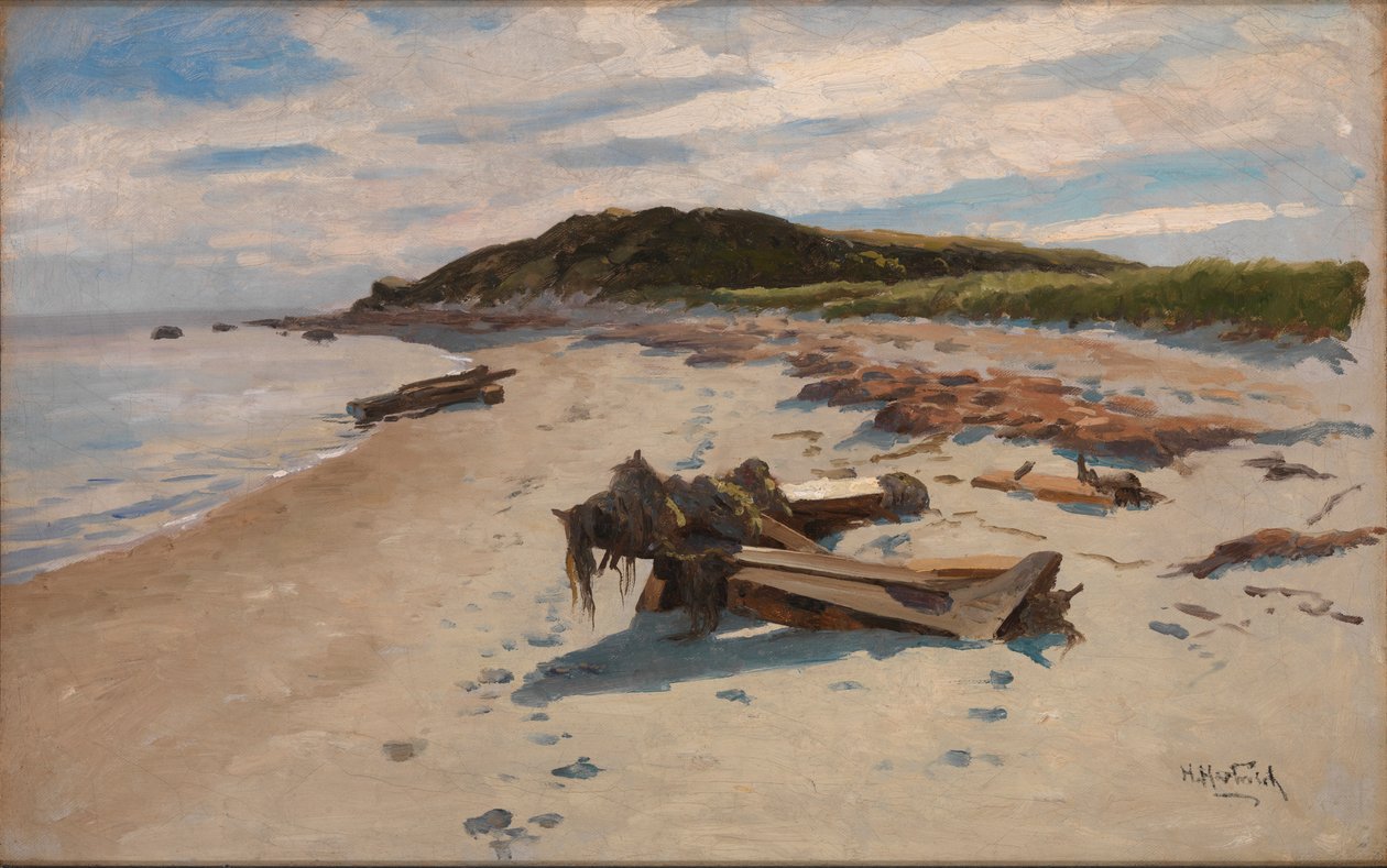 科德角，海滩，1894年。 作者 赫尔曼·哈特维奇（Herman Hartwich）