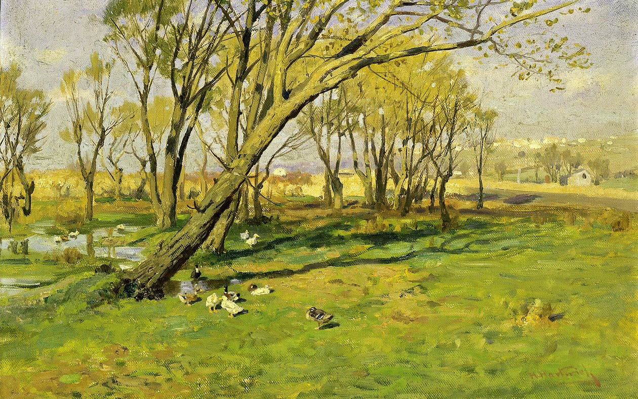 新泽西州哈肯萨克，费希尔池塘，1894年。 作者 赫尔曼·哈特维奇（Herman Hartwich）