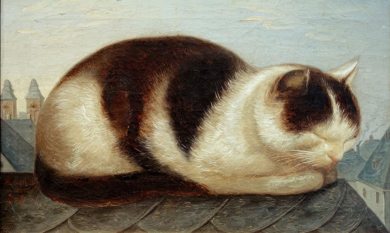 猫 作者 赫尔曼·安舒兹（HermannAnschütz）