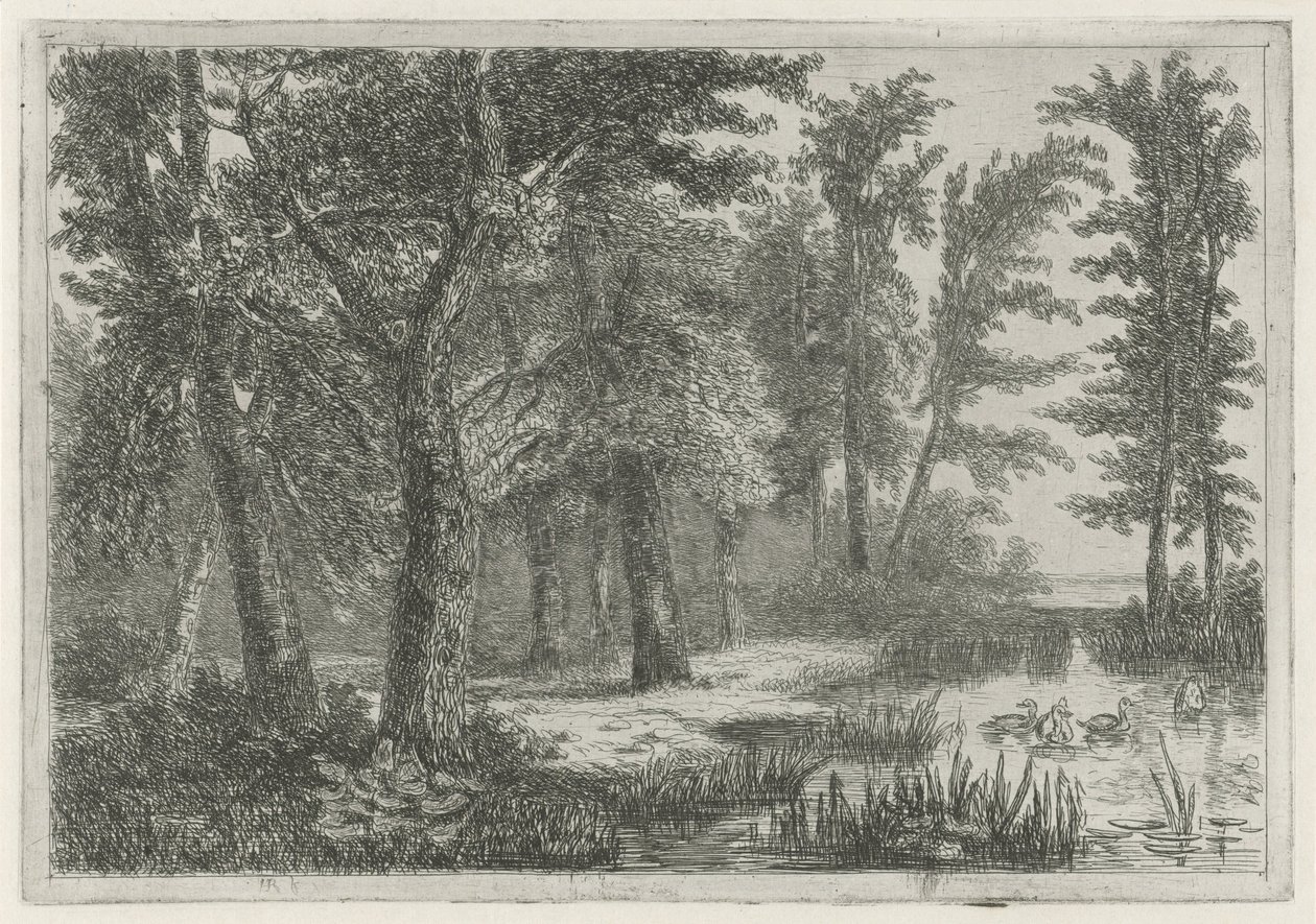 森林景观，有沼泽和鸭子 作者 Hermanus Jan Hendrik van Rijkelijkhuysen
