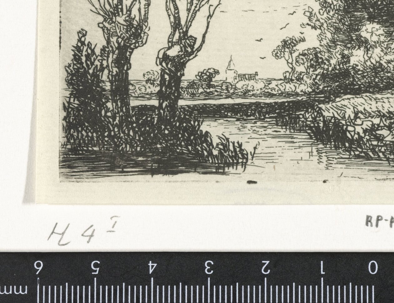 两棵花粉柳的风景 作者 Hermanus Jan Hendrik van Rijkelijkhuysen
