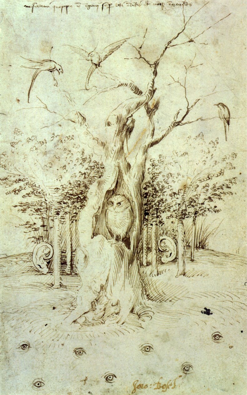 听到的森林和看到的田野 作者 Hieronymus Bosch