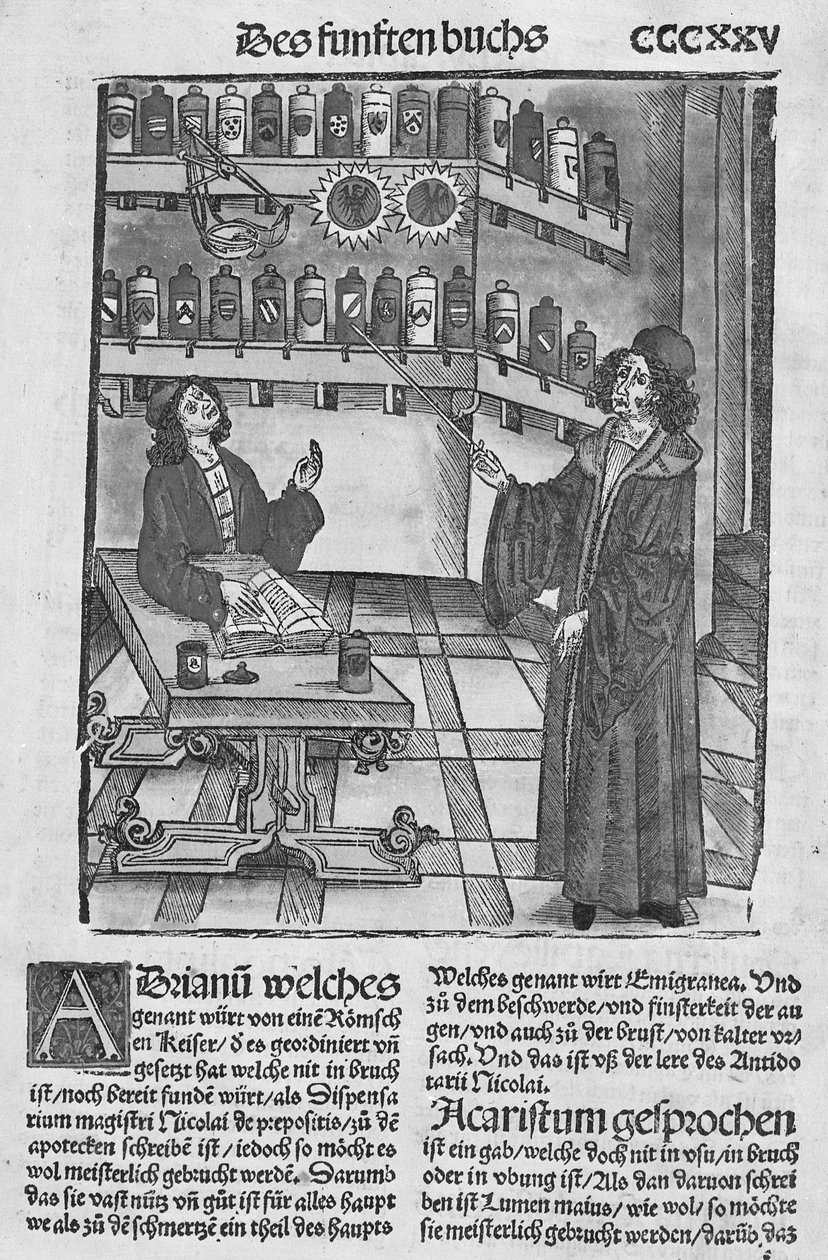 Apothecary的商店，来自&39;The Book of Cirugia&39;，1497年出版斯特拉斯堡 作者 Hieronymus Brunschwig