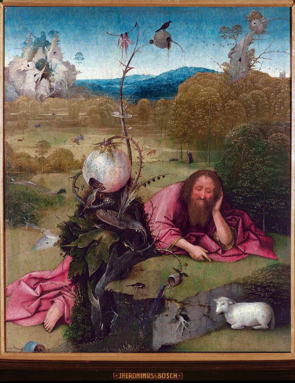沙漠中的施洗者圣约翰 - Jheronimus van Aken 作画，dit Jerome (Hieronymus) Bosch（约 1450 -1516 年），木头油，48,5x40 厘米，约 1489 年 - 马德里，Museo Lazaro Galdiano 作者 Hieronymus Bosch