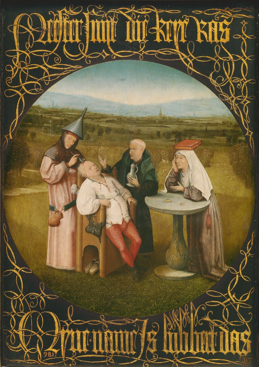 愚蠢之治，约1494年（面板上的油） 作者 Hieronymus Bosch