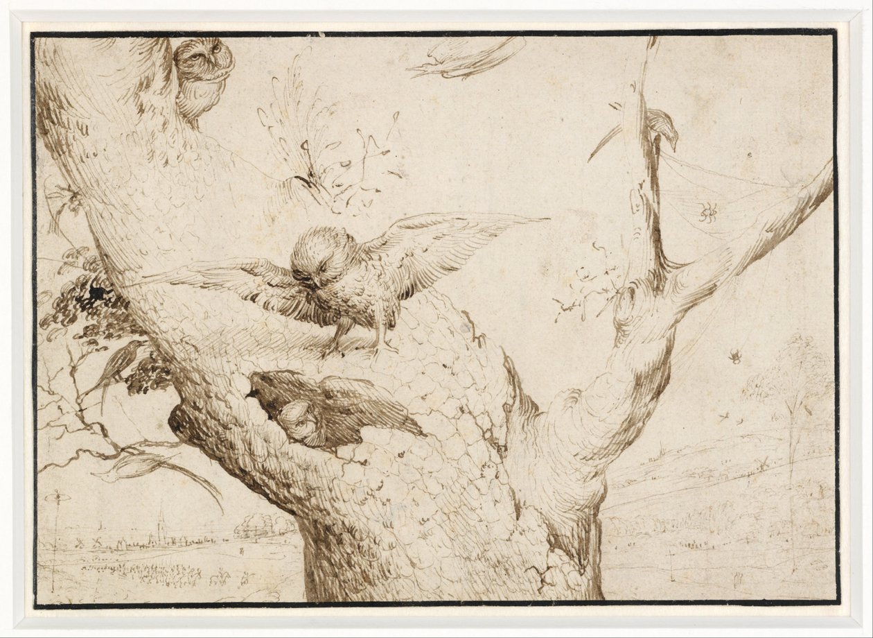 猫头鹰的巢 作者 Hieronymus Bosch