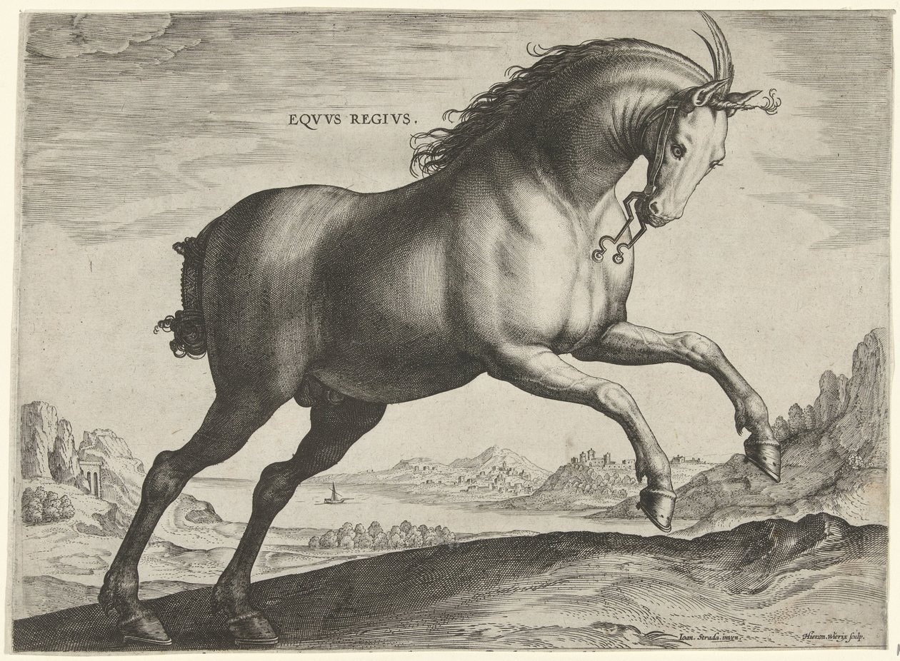 皇家马（Equus Regius 品种）
Eqvvs Regivs（物品上的标题）
来自奥地利唐璜皇家马厩的马种（系列标题）
Equile Ioannis Austriaci Caroli（系列名称） 作者 希罗尼穆斯·维里克斯