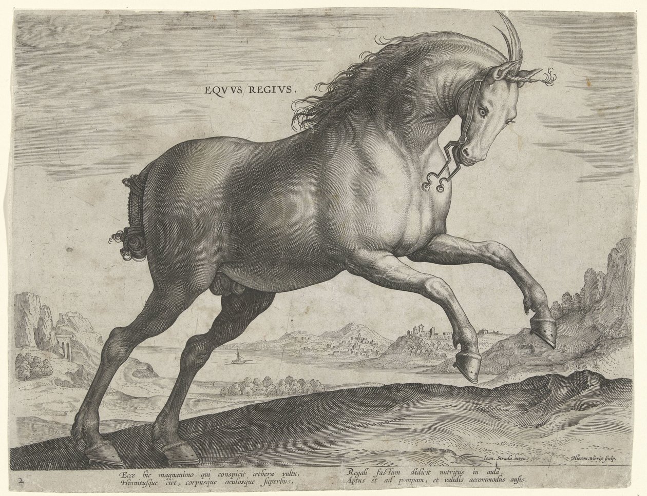 皇家马（Equus Regius 品种）
Eqvvs Regivs（物品上的标题）
来自奥地利唐璜皇家马厩的马种（系列标题）
Equile Ioannis Austriaci Caroli（系列名称） 作者 希罗尼穆斯·维里克斯