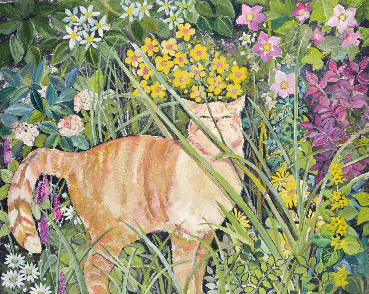 猫与长草，1996 作者 希拉里·琼斯（Hilary Jones）