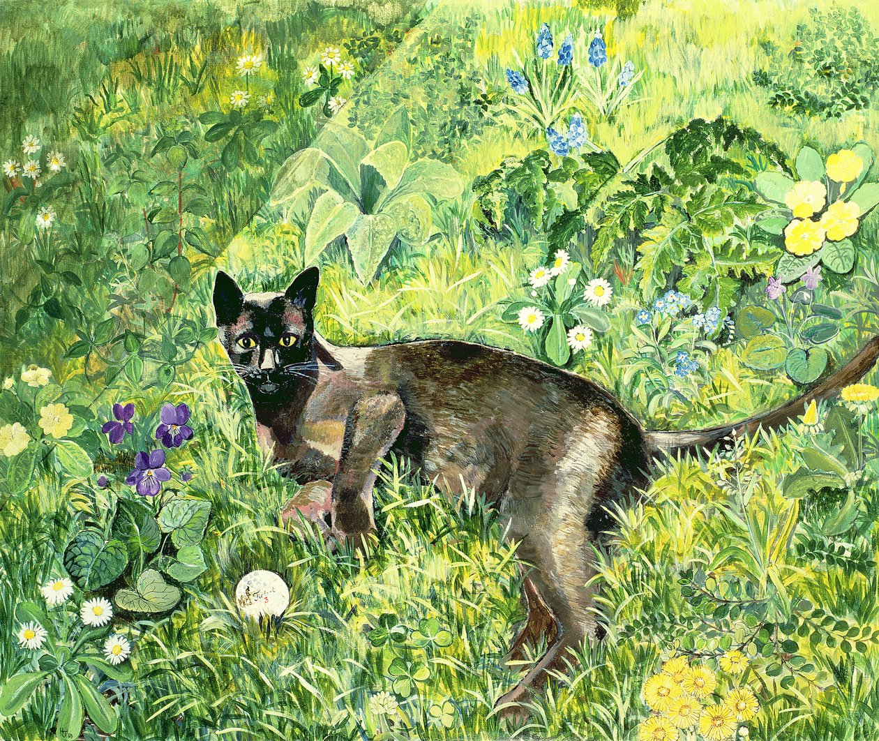 高尔夫猫 作者 希拉里·琼斯（Hilary Jones）