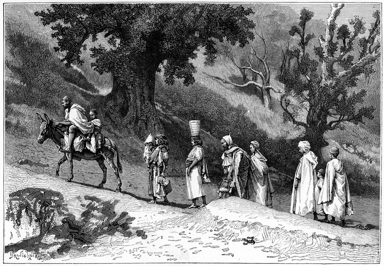 卡比尔家族旅行，阿尔及利亚，大约1890年 作者 希尔迪布兰德