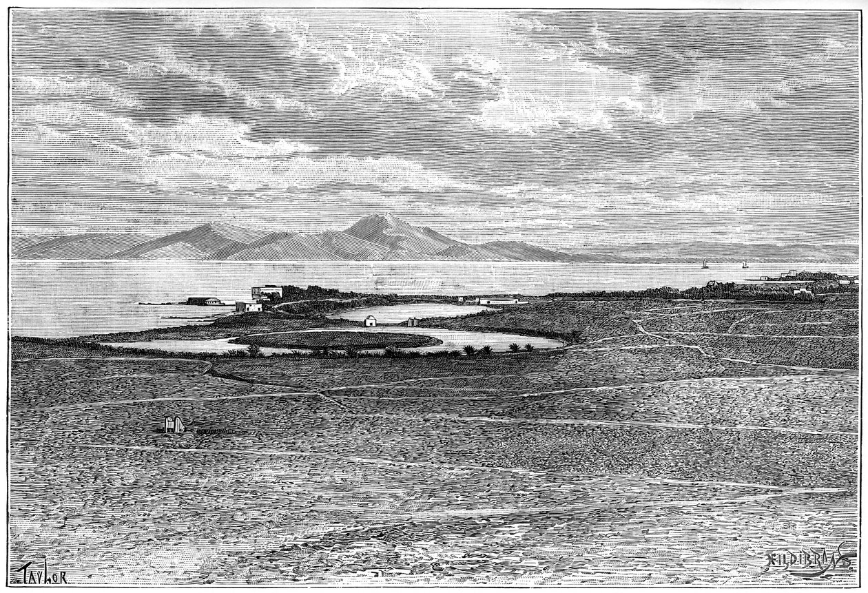 突尼斯迦太基旧港口，建于1890年 作者 希尔迪布兰德