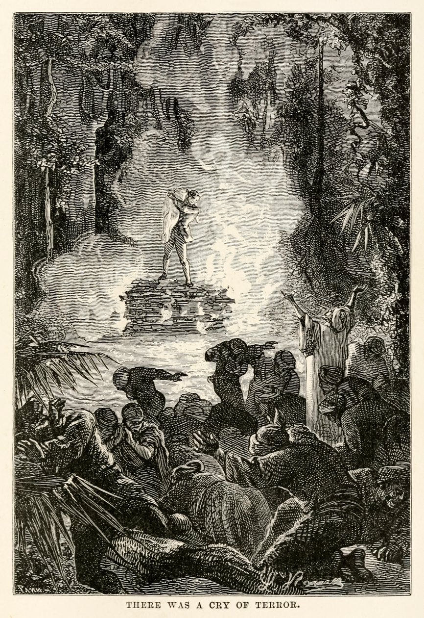 有一种恐怖的叫声，出自儒勒-凡尔纳（1828-1905）的《八十天环游世界》，由阿道夫-弗朗索瓦-潘纳梅克（1822-1900）刻制。 作者 希波吕特·莱昂（后）贝内特