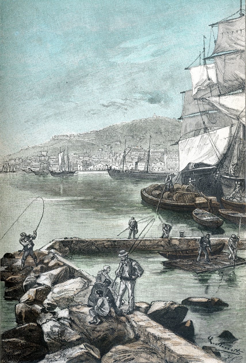 儒勒-凡尔纳的 "Clovis Dardentor "的染色图谱插图，L. Benett为Hetzel 1896年版雕刻（雕刻）。 作者 希波吕特·莱昂·贝内特