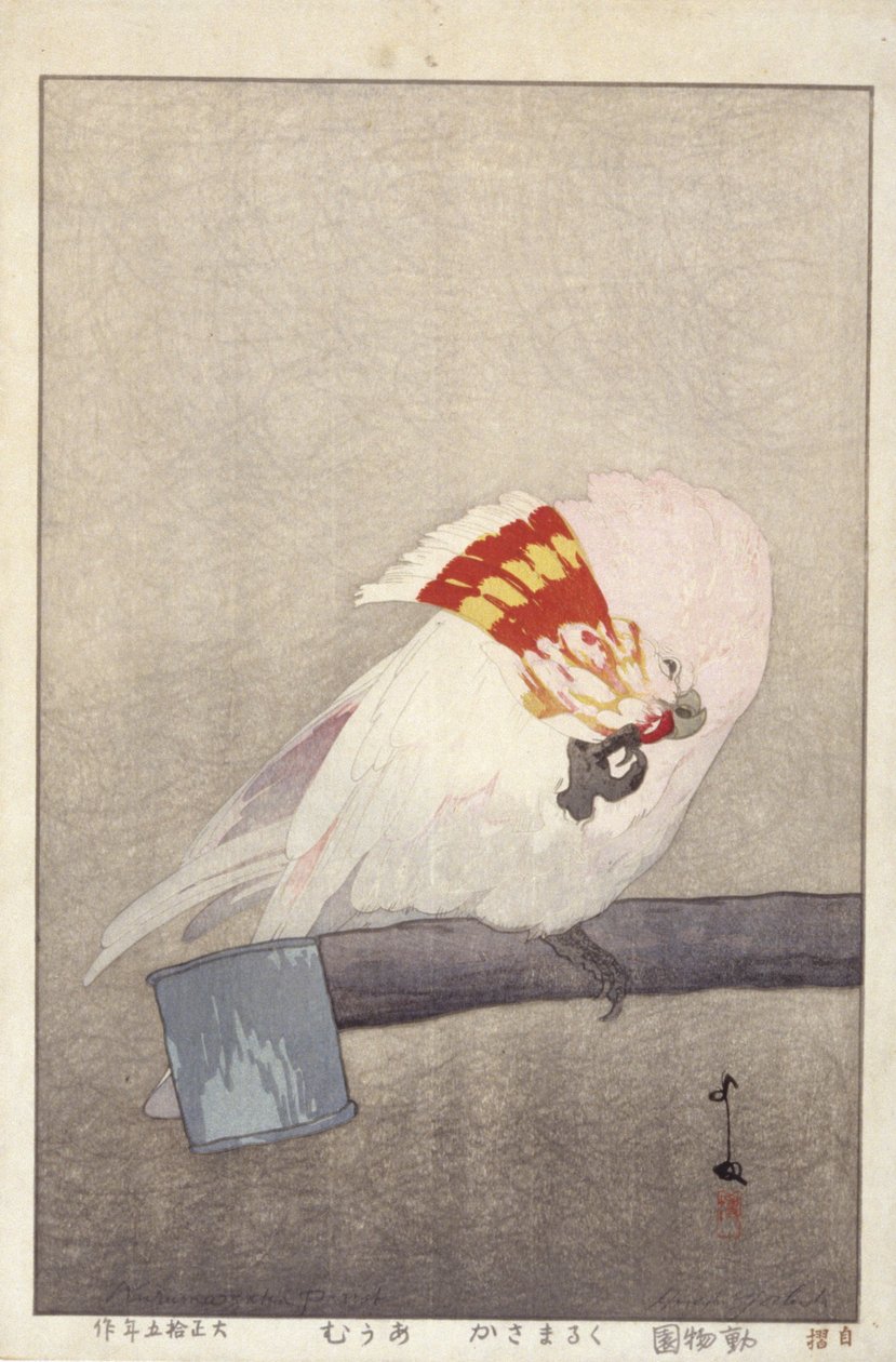 Cockatoo On Feeder (colour woodblock print) 作者 吉田博史