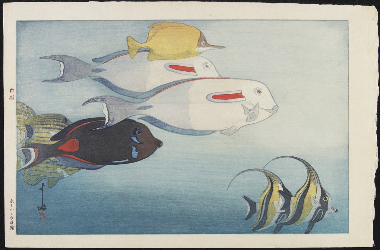 檀香山水族馆 作者 吉田博史