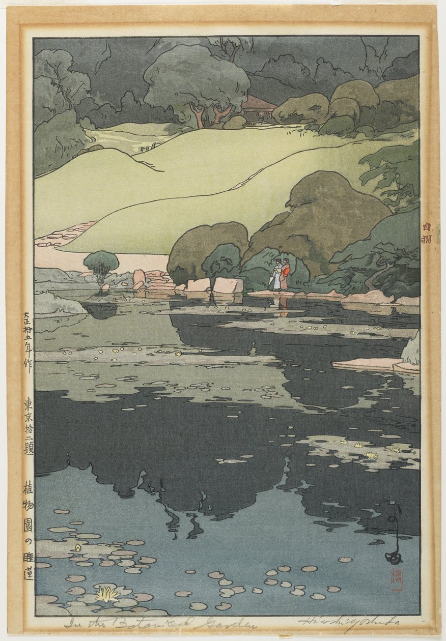 植物园里的睡莲 作者 吉田博史