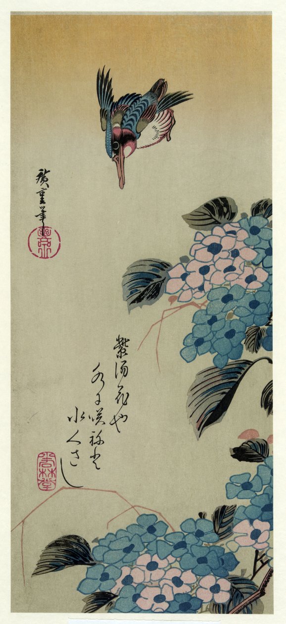 Ajisai ni Kawasemi（绣球花和翠鸟） 作者 歌川宏重