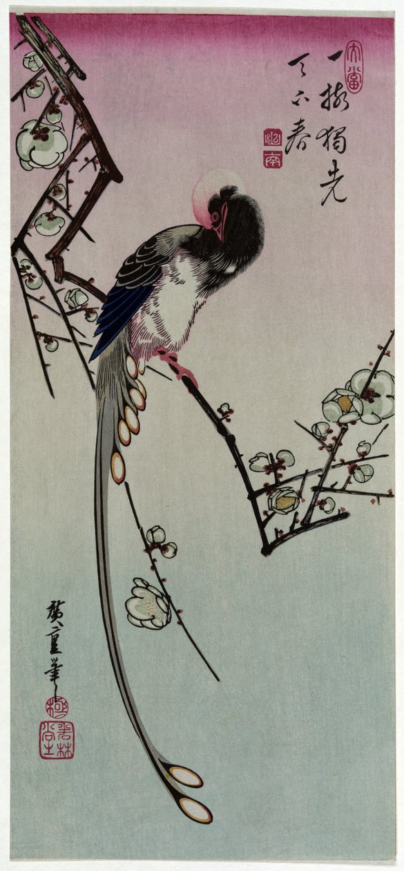 Ume ni Onagadori 作者 歌川宏重