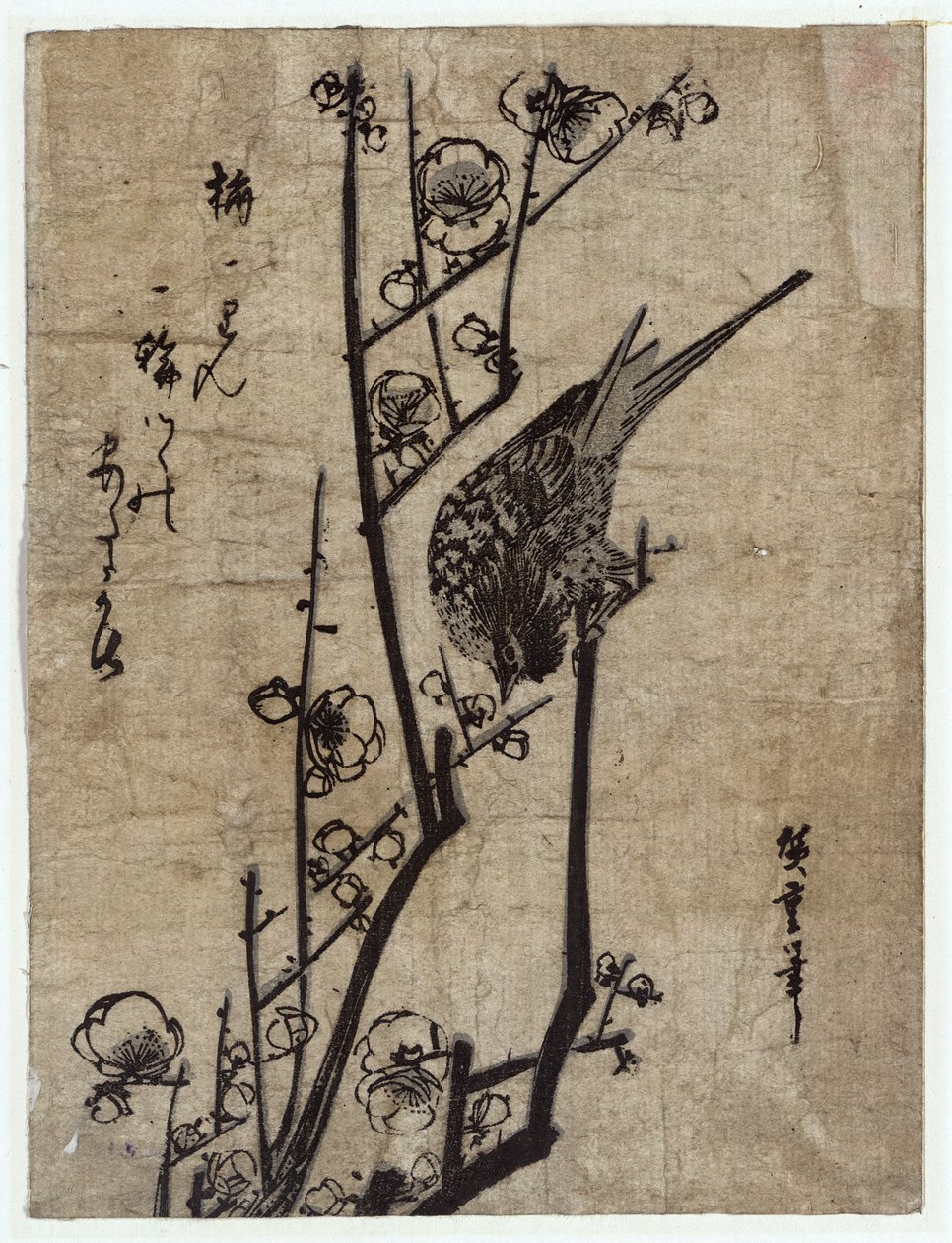 Ume ni Uguisu（Plum Blossom和Bush Warbler） 作者 歌川宏重