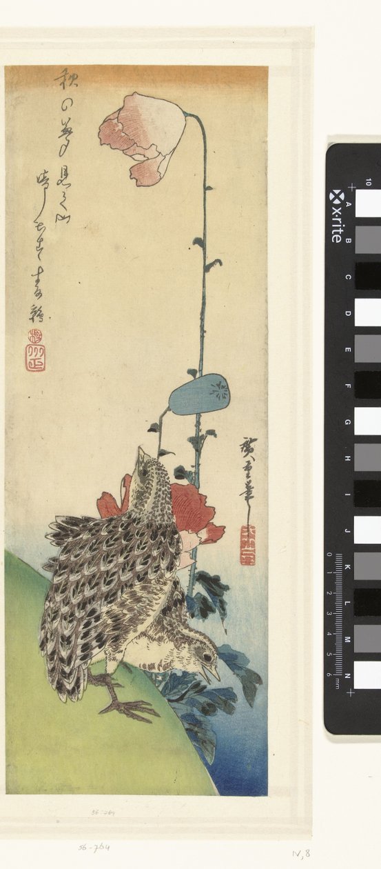 鹌鹑和罂粟花 作者 歌川广重 (I)