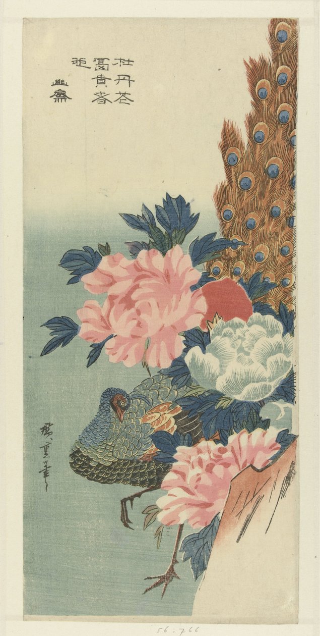孔雀和牡丹 作者 歌川广重 (I)