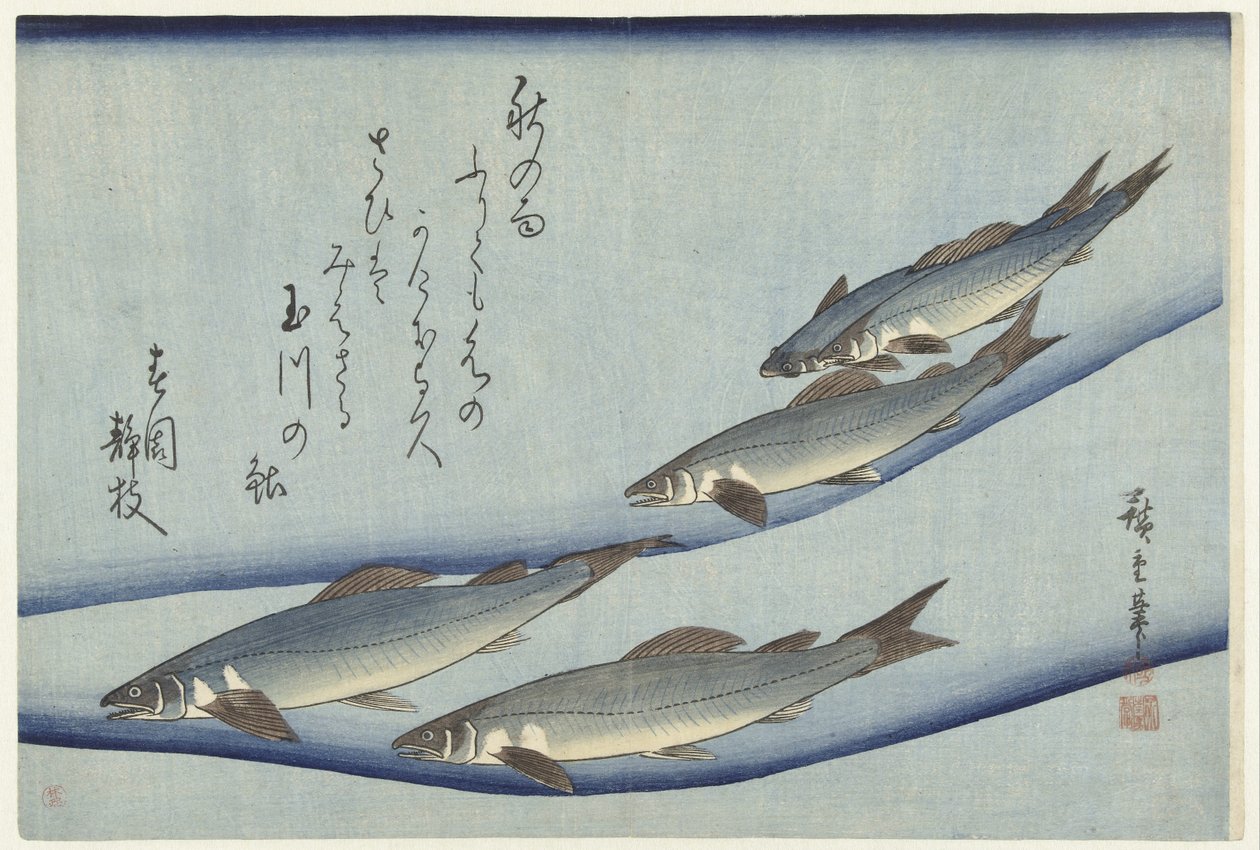 鳟鱼 作者 歌川广重 (I)
