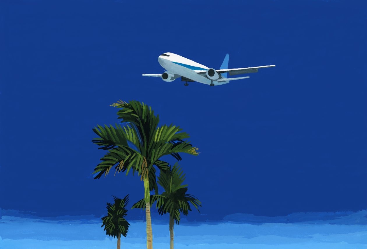 Airplane and palm tree 作者 井筒宏之